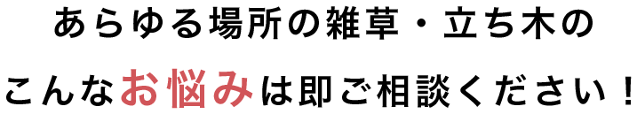 あらゆる場所の雑草・立ち木の こんなお悩みは即ご相談ください！